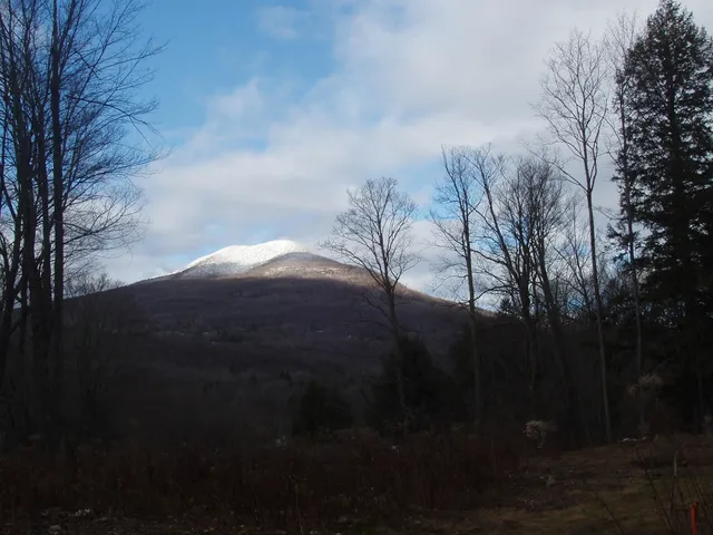 $185,000 | 0 Finbar's Forest Road, Unit 7 WEST 7 EAST, Manchester Center, VT 05255