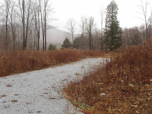 $185,000 | 0 Finbar's Forest Road, Unit 7 WEST 7 EAST, Manchester Center, VT 05255