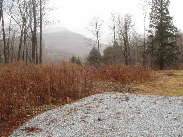 $185,000 | 0 Finbar's Forest Road, Unit 7 WEST 7 EAST, Manchester Center, VT 05255