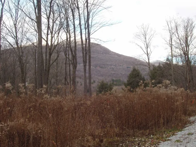 $185,000 | 0 Finbar's Forest Road, Unit 7 WEST 7 EAST, Manchester Center, VT 05255