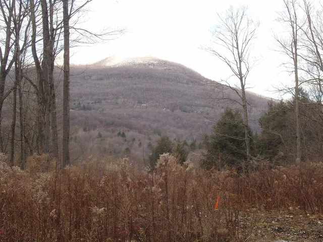 $185,000 | 0 Finbar's Forest Road, Unit 7 WEST 7 EAST, Manchester Center, VT 05255