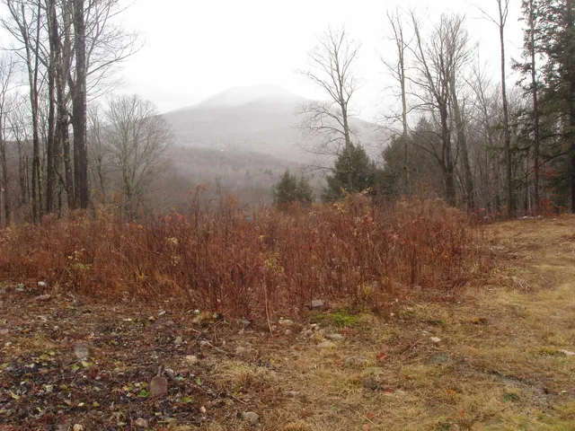 $185,000 | 0 Finbar's Forest Road, Unit 7 WEST 7 EAST, Manchester Center, VT 05255