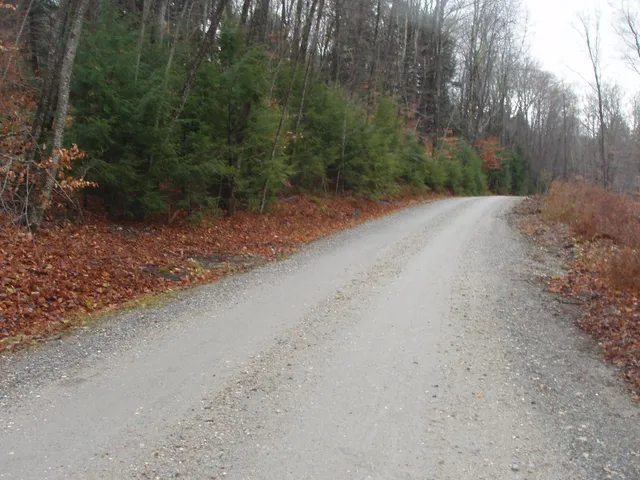 $185,000 | 0 Finbar's Forest Road, Unit 7 WEST 7 EAST, Manchester Center, VT 05255