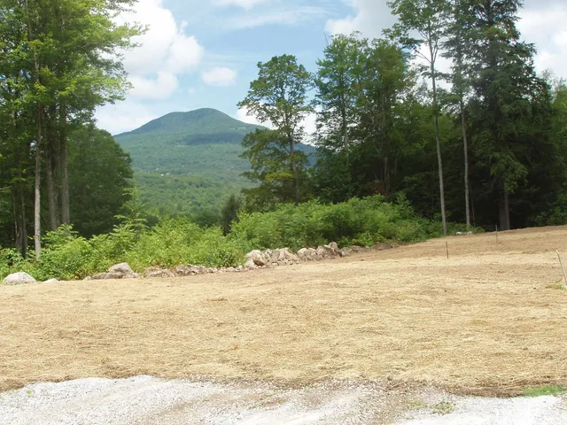 $185,000 | 0 Finbar's Forest Road, Unit 7 WEST 7 EAST, Manchester Center, VT 05255