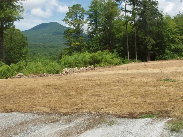 $185,000 | 0 Finbar's Forest Road, Unit 7 WEST 7 EAST, Manchester Center, VT 05255