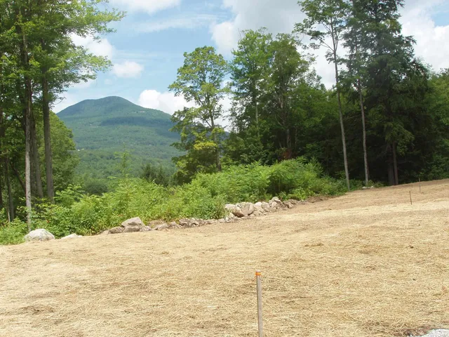 $185,000 | 0 Finbar's Forest Road, Unit 7 WEST 7 EAST, Manchester Center, VT 05255