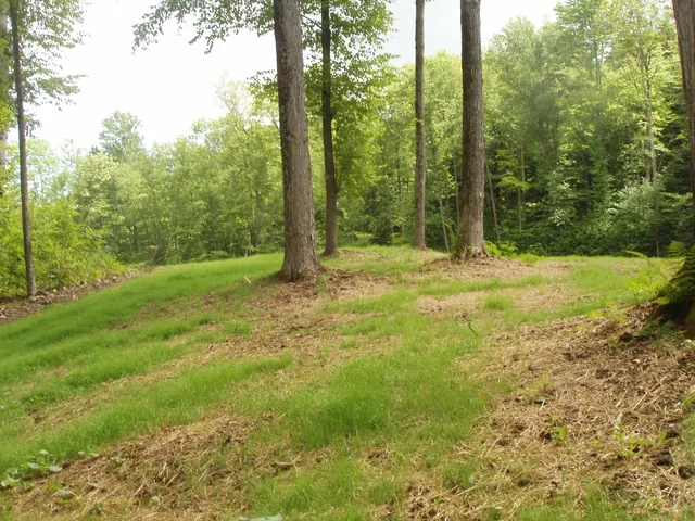 $185,000 | 0 Finbar's Forest Road, Unit 7 WEST 7 EAST, Manchester Center, VT 05255