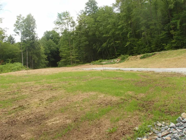 $185,000 | 0 Finbar's Forest Road, Unit 7 WEST 7 EAST, Manchester Center, VT 05255