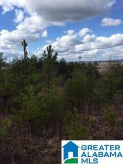 0 Henderson Lake Road, Unit 128 Munford, AL 36268 - Photo 23 of 31