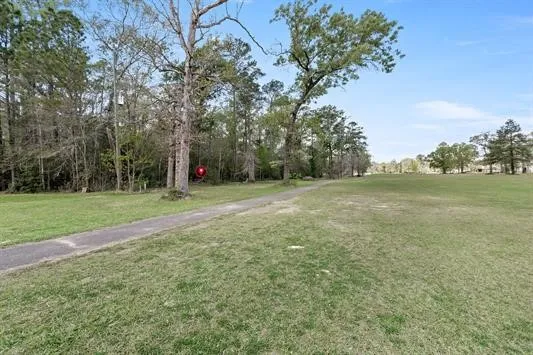 $50,000 | 0 Lakeview Drive, Sour Lake, TX 77659