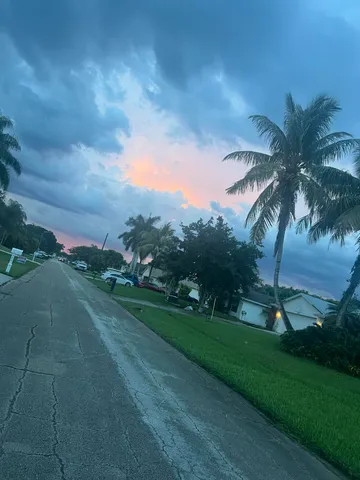 a park with full of palm trees