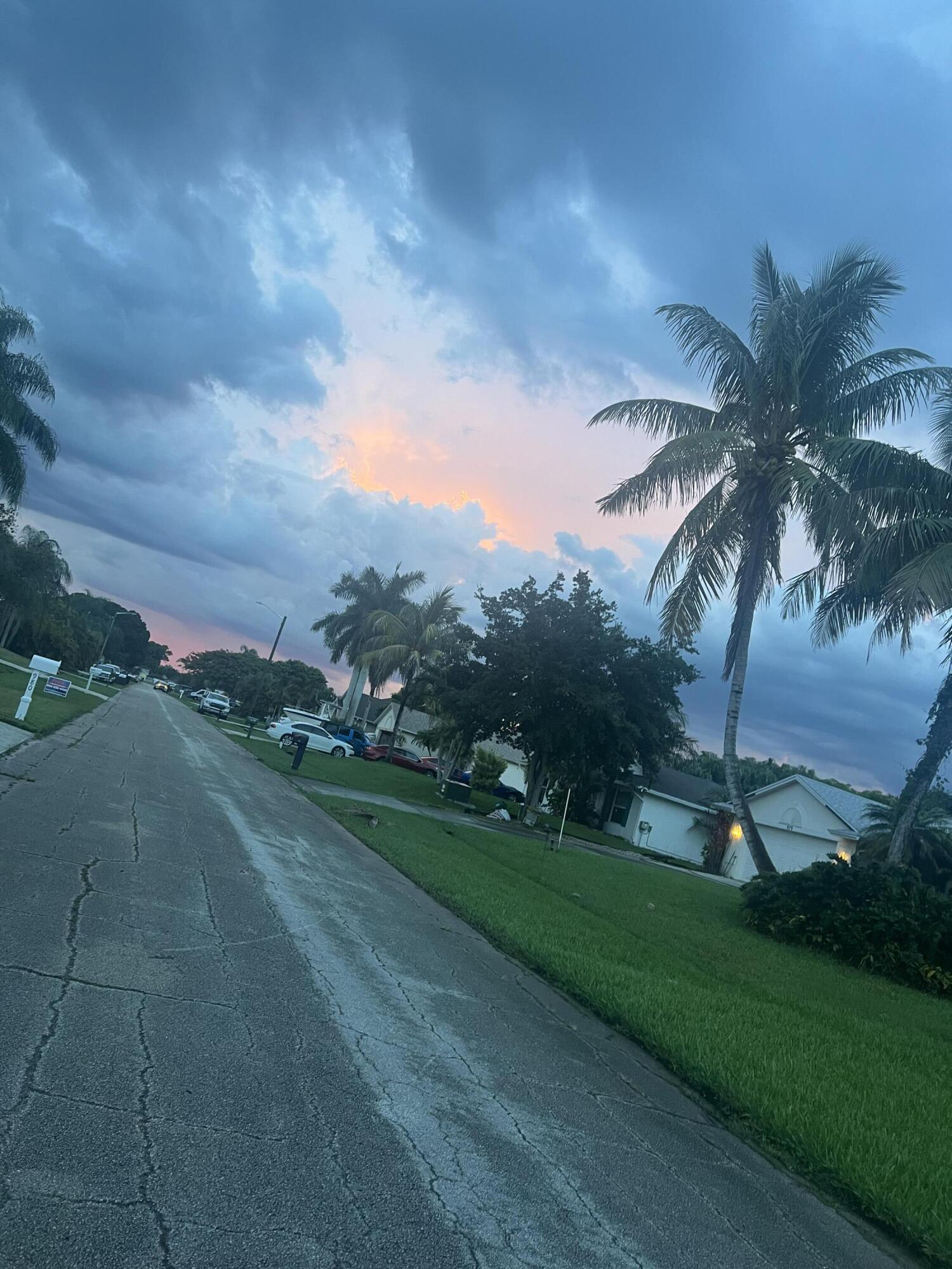 944 Southeast Browning Avenue Port St. Lucie, FL 34983 - Photo 16 of 18 a park with full of palm trees