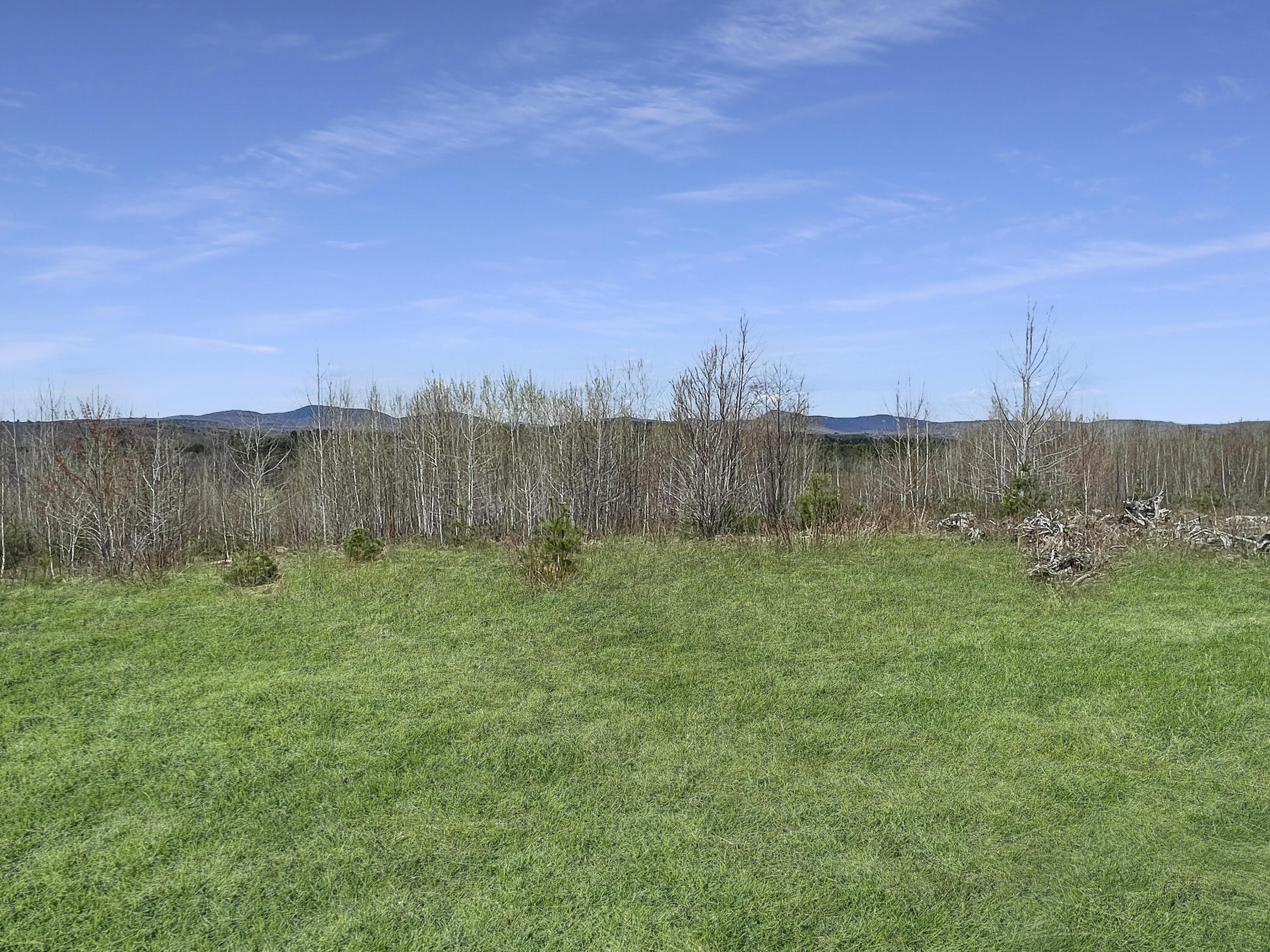 35 Spruce Mountain Road Jay, ME 04239 - Photo 12 of 24 202b049f0a01da9dfb89f485aca46bf5ed9af364