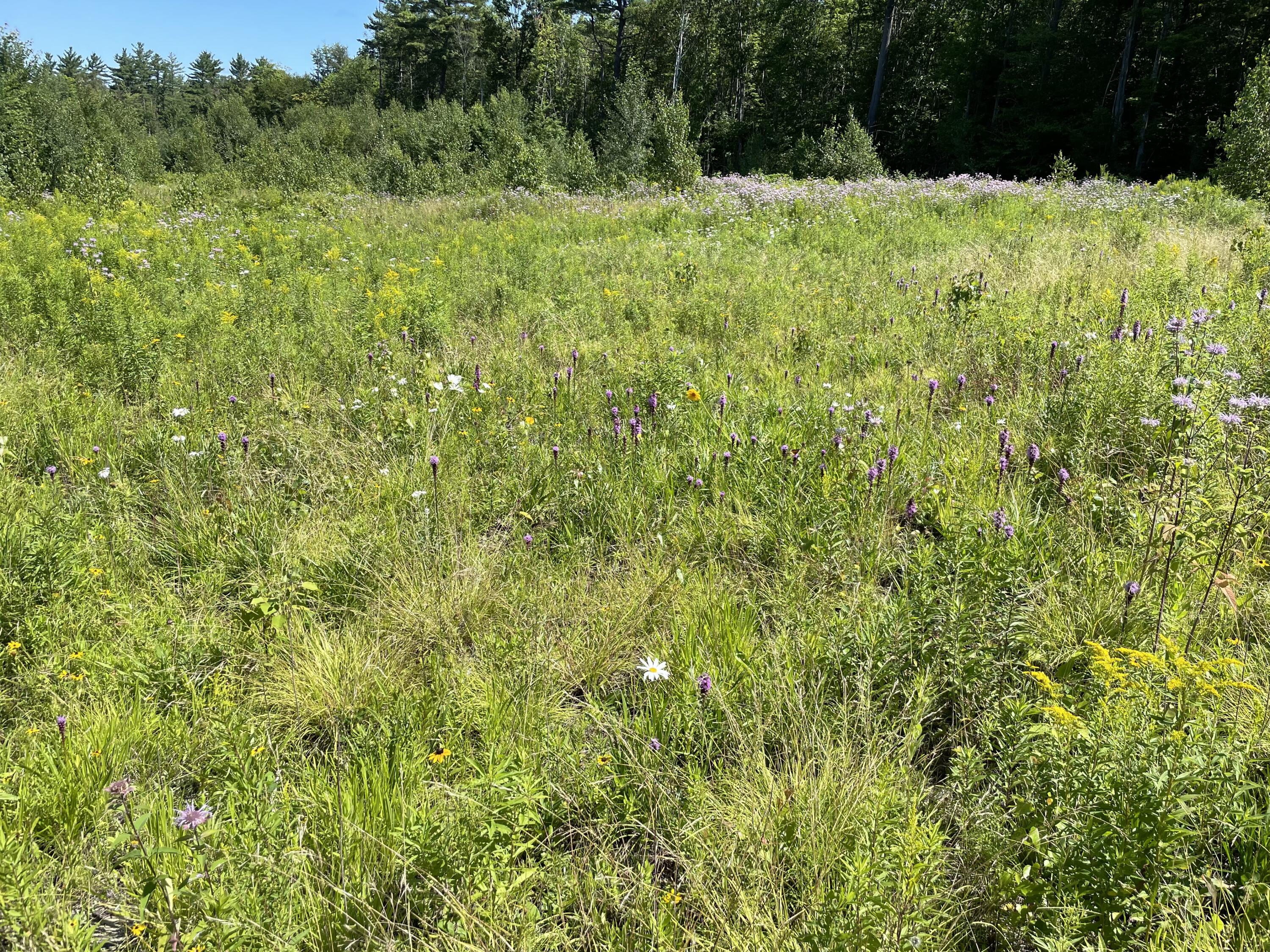 35 Spruce Mountain Road Jay, ME 04239 - Photo 21 of 24 Photo Jul 28 2021, 11 06 15 AM
