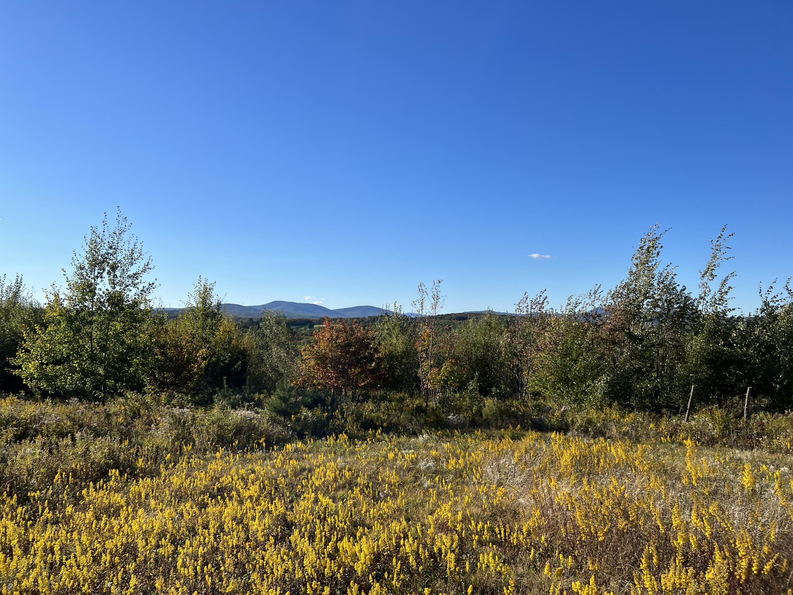 35 Spruce Mountain Road Jay, ME 04239 - Photo 24 of 24 Photo Sep 24 2022, 4 43 58 PM