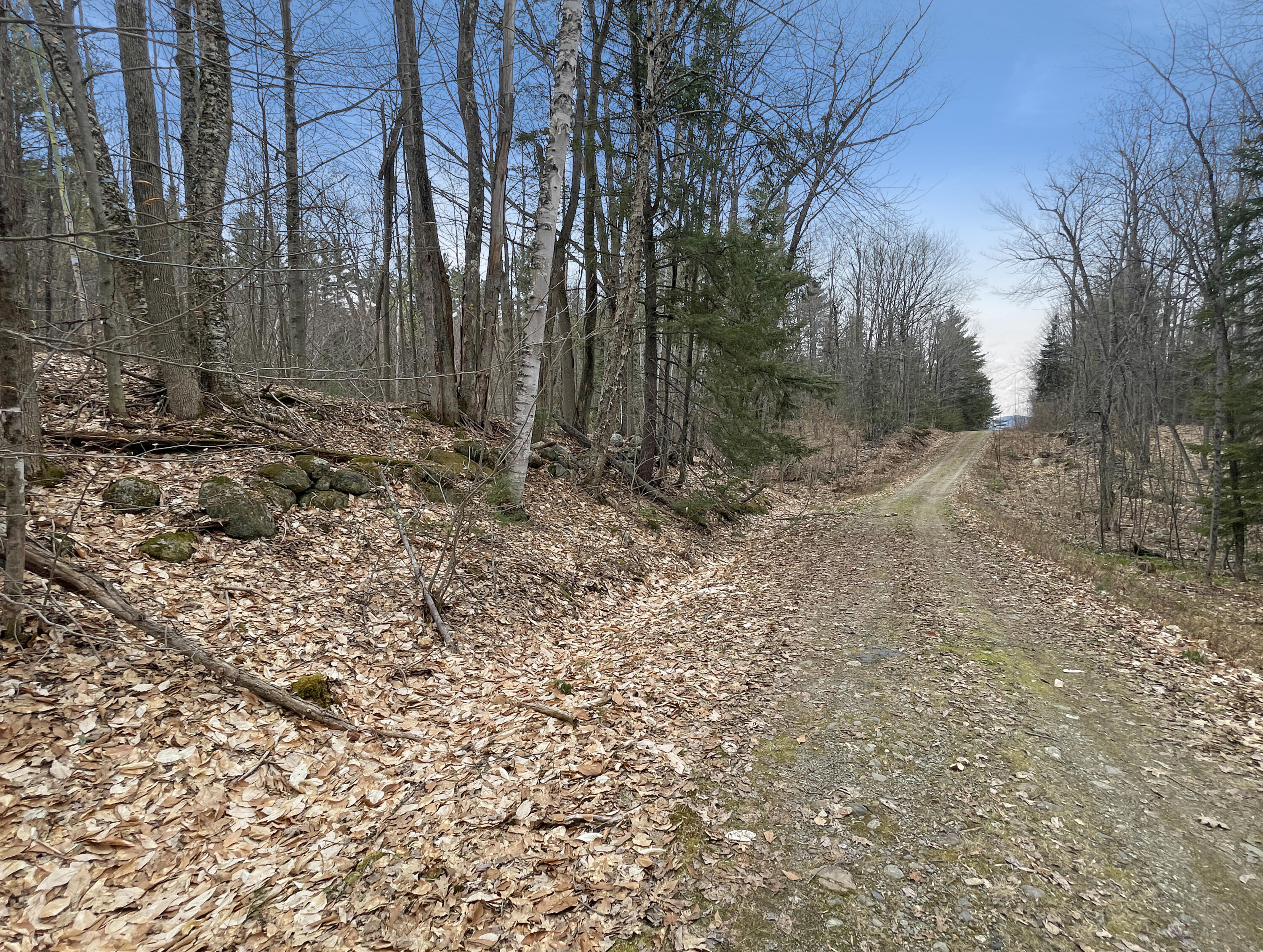 35 Spruce Mountain Road Jay, ME 04239 - Photo 4 of 24 2d65af8dbf94c0a9210eeda0470768c6fe7a562a