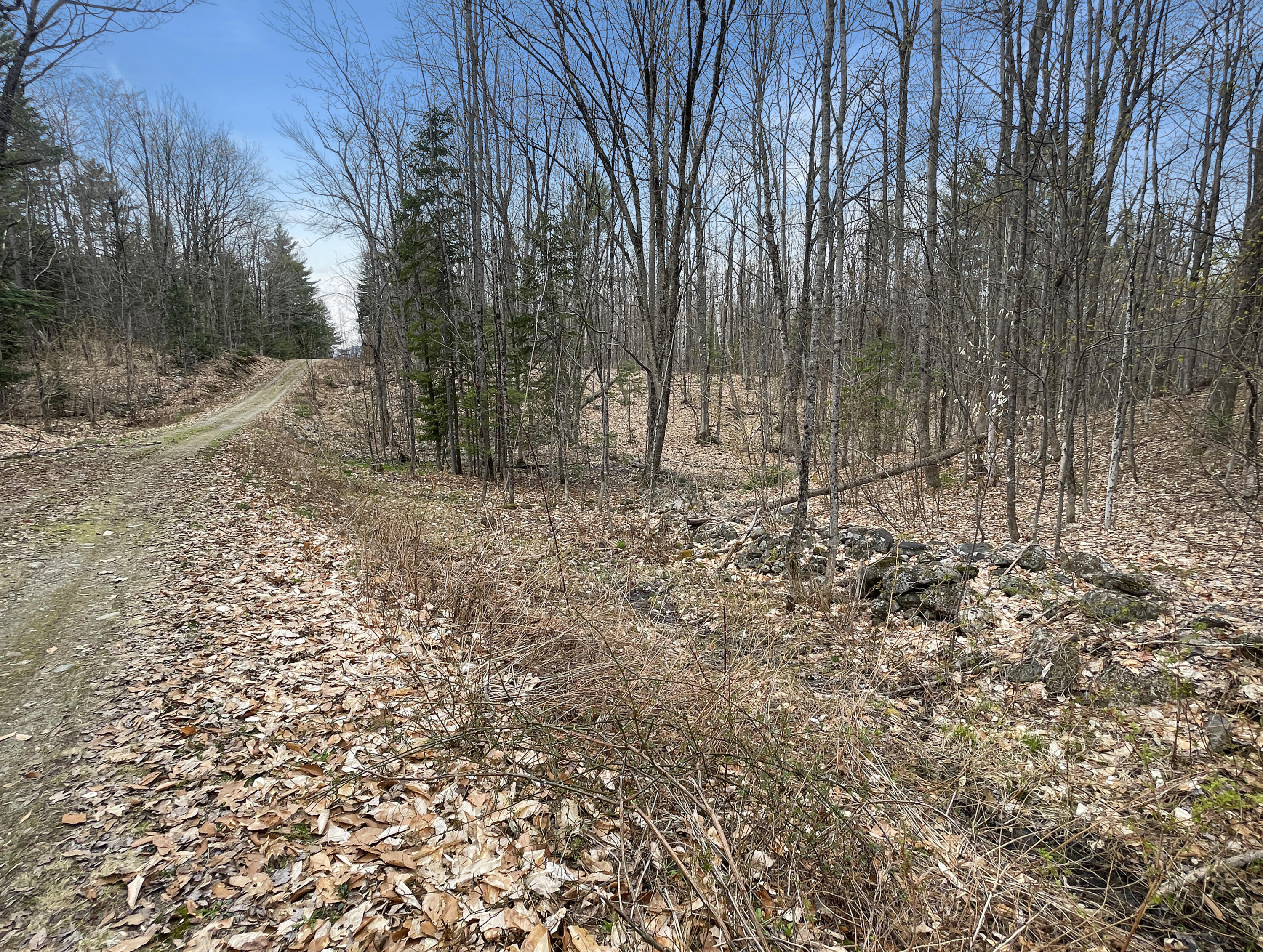 35 Spruce Mountain Road Jay, ME 04239 - Photo 5 of 24 dc94e469f177c457380da53629347418675b86f6