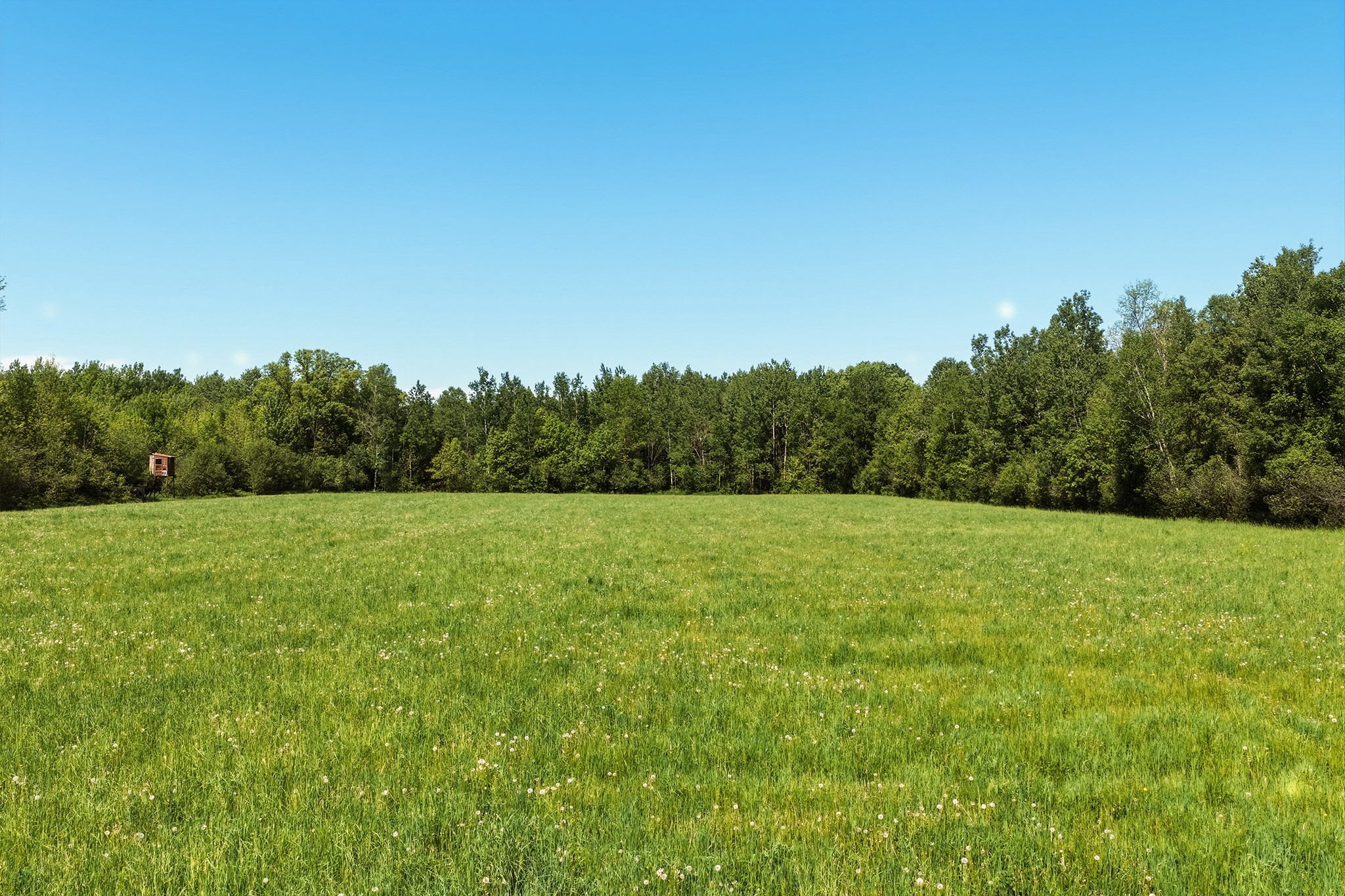 W6062 County Rd X Withee, WI 54498 - Photo 35 of 57