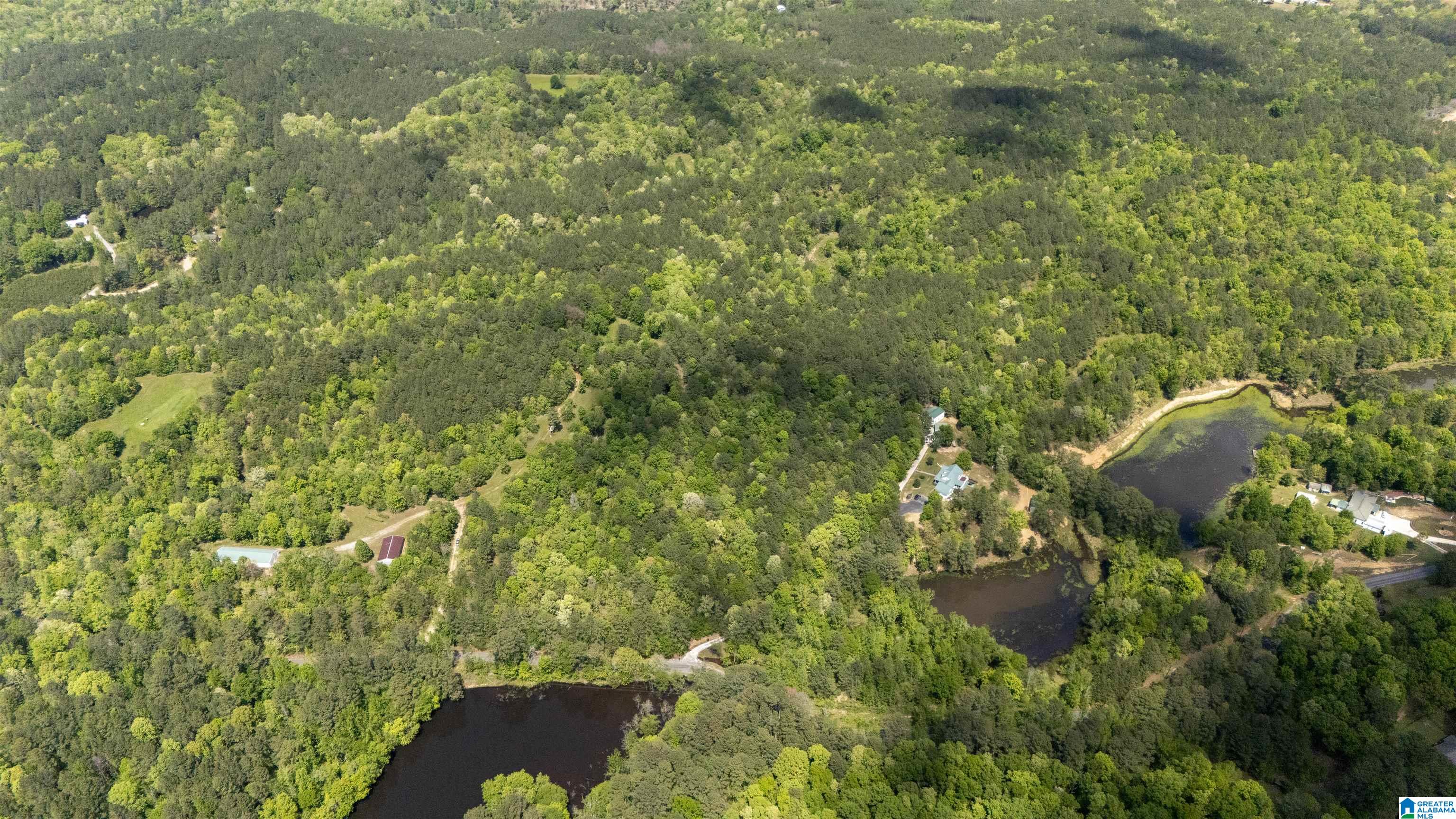 2121 Center Hill Road Trafford, AL 35172 - Photo 90 of 100