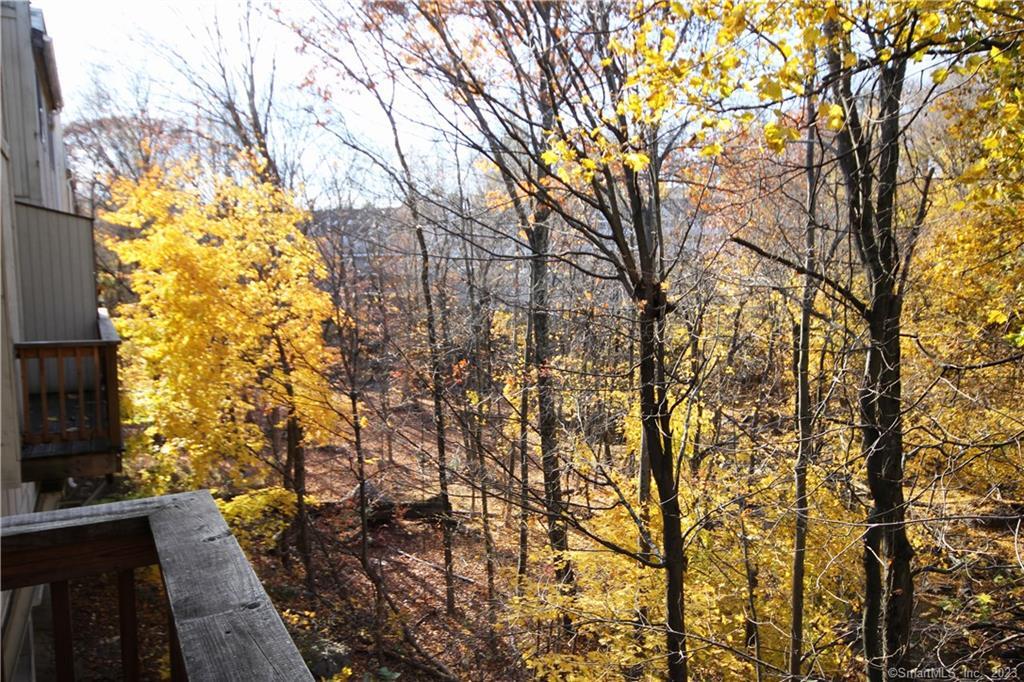 14 Newtown Road, Unit A19 Danbury, CT 06810 - Photo 21 of 32