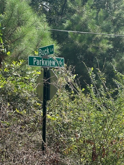 26976 Callie Drive Hempstead, TX 77445 - Photo 2 of 11 a street sign on a pole on a street