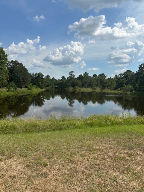26976 Callie Drive Hempstead, TX 77445 - Photo 6 of 11 a view of a lake