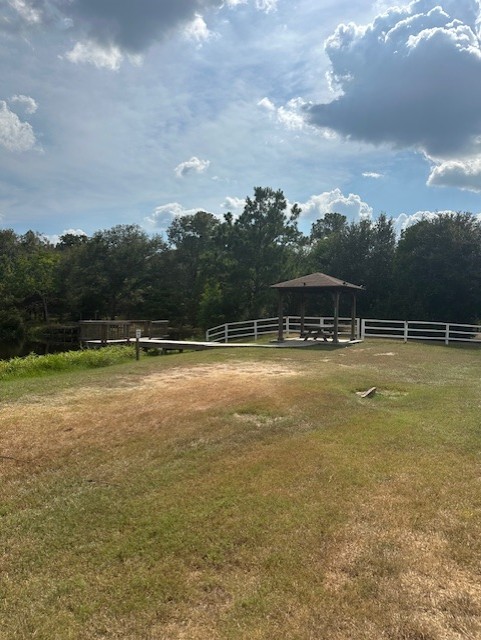 26976 Callie Drive Hempstead, TX 77445 - Photo 7 of 11 a view of swimming pool and mountain