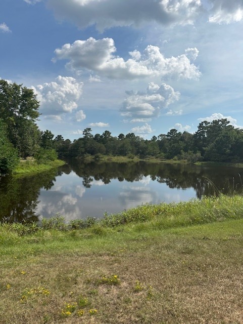 26976 Callie Drive Hempstead, TX 77445 - Photo 8 of 11 a view of a lake with houses in the back
