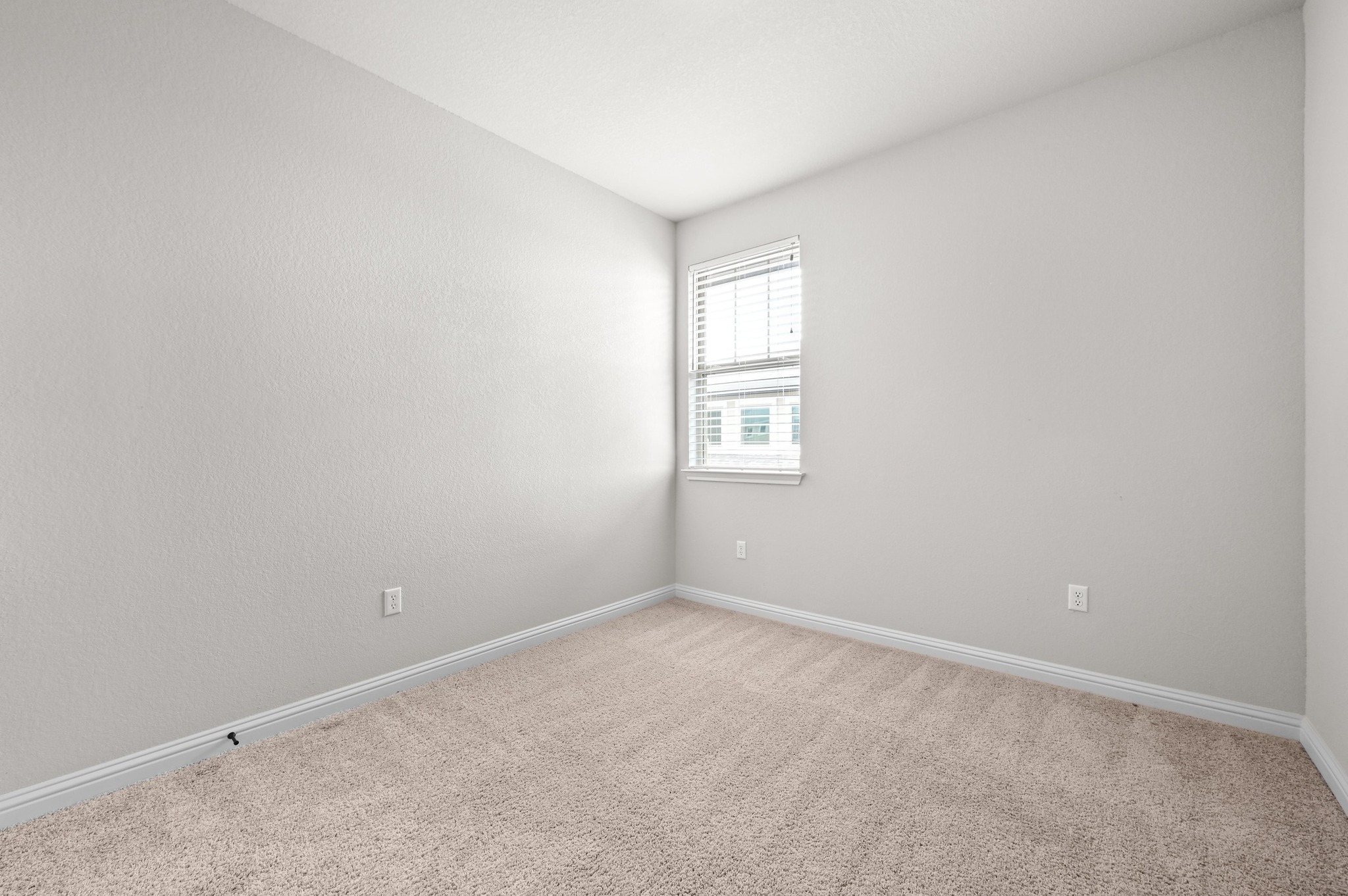 8003 Orizzonte Street Austin, TX 78744 - Photo 21 of 25 Spare room with carpet and baseboards