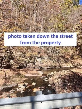 a close up of a tree