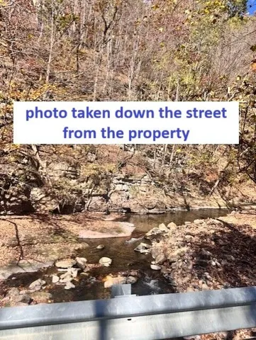 a close up of a tree