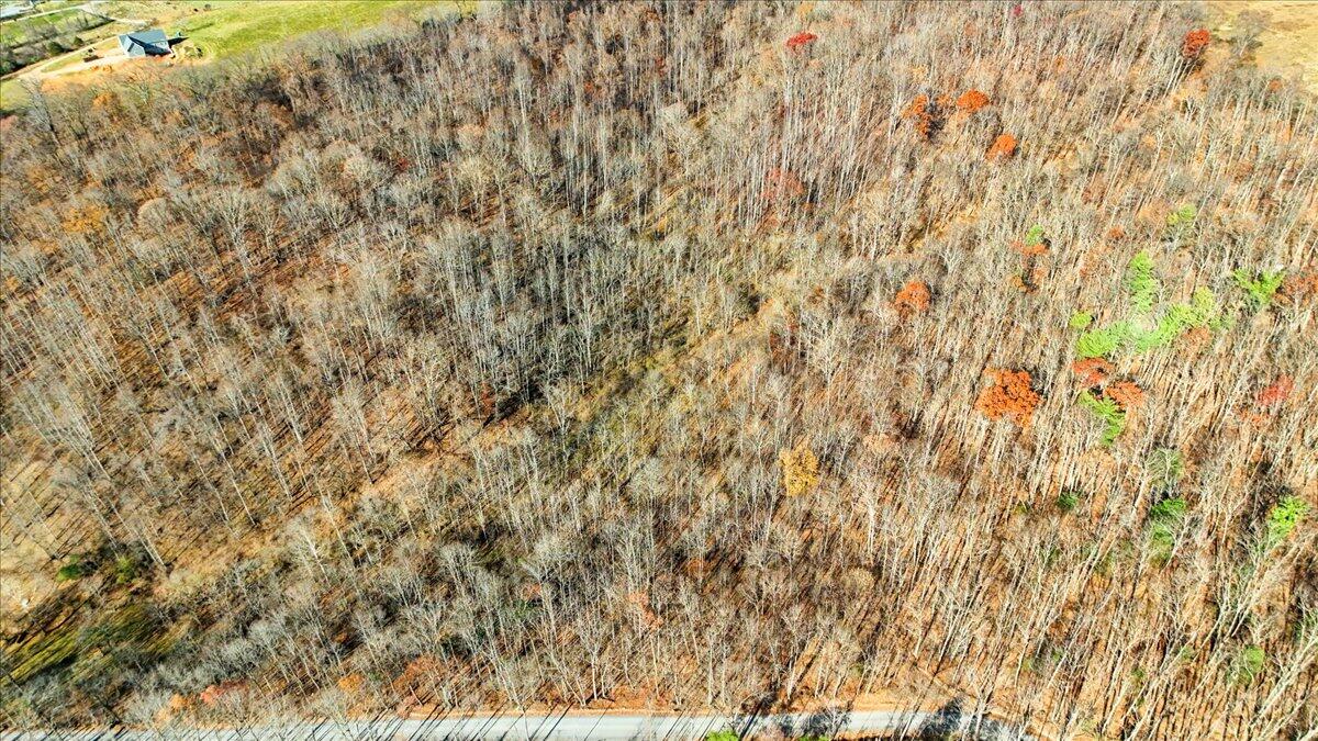 0 Hendrickson Road Pembroke, VA 24136 - Photo 14 of 30