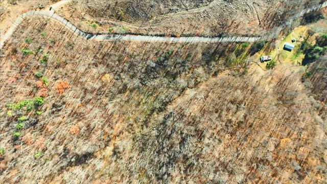 a view of a city with lush green forest