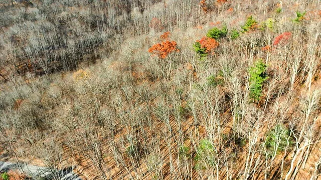 $149,950 | 0 Hendrickson Road, Pembroke, VA 24136