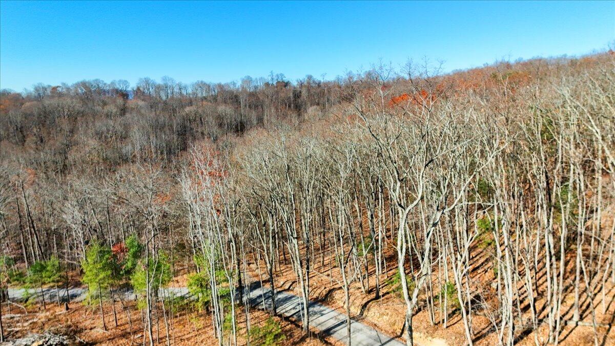 0 Hendrickson Road Pembroke, VA 24136 - Photo 27 of 30 a view of mountain view with trees in the background