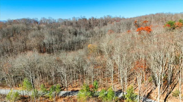 $149,950 | 0 Hendrickson Road, Pembroke, VA 24136