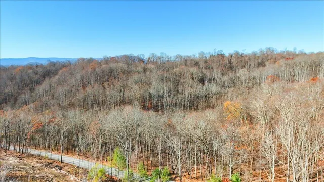 $149,950 | 0 Hendrickson Road, Pembroke, VA 24136