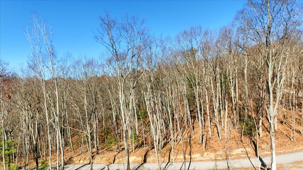 0 Hendrickson Road Pembroke, VA 24136 - Photo 30 of 30 a view of a yard