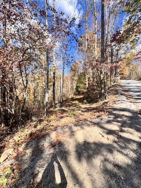 0 Hendrickson Road Pembroke, VA 24136 - Photo 4 of 30