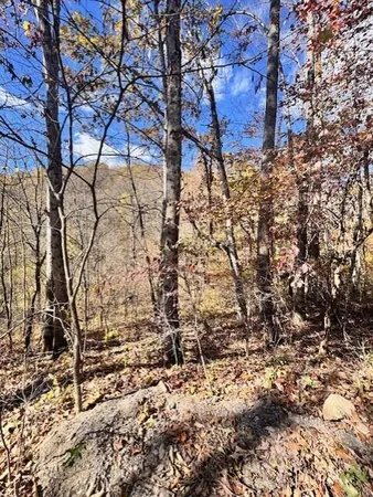a view of snow on the road