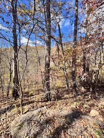 a view of snow on the road