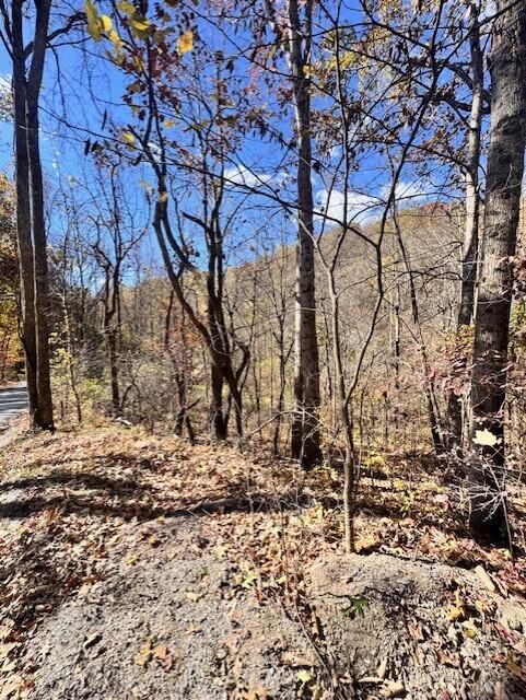 0 Hendrickson Road Pembroke, VA 24136 - Photo 6 of 30 a view of a yard covered with snow