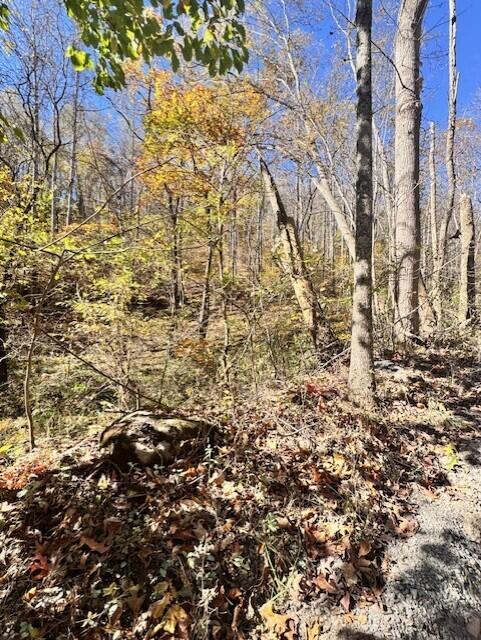 0 Hendrickson Road Pembroke, VA 24136 - Photo 8 of 30