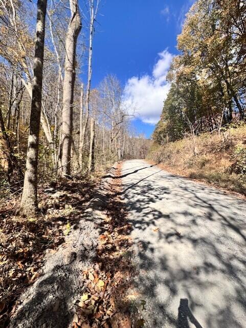 0 Hendrickson Road Pembroke, VA 24136 - Photo 10 of 30 a view of snow on the side of a road