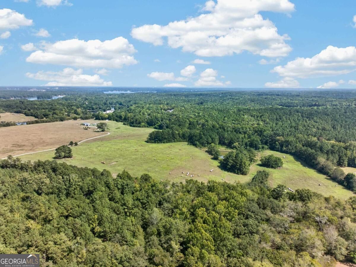 252 Parks Mill Road Buckhead, GA 30625 - Photo 12 of 19 Gallery Image 12