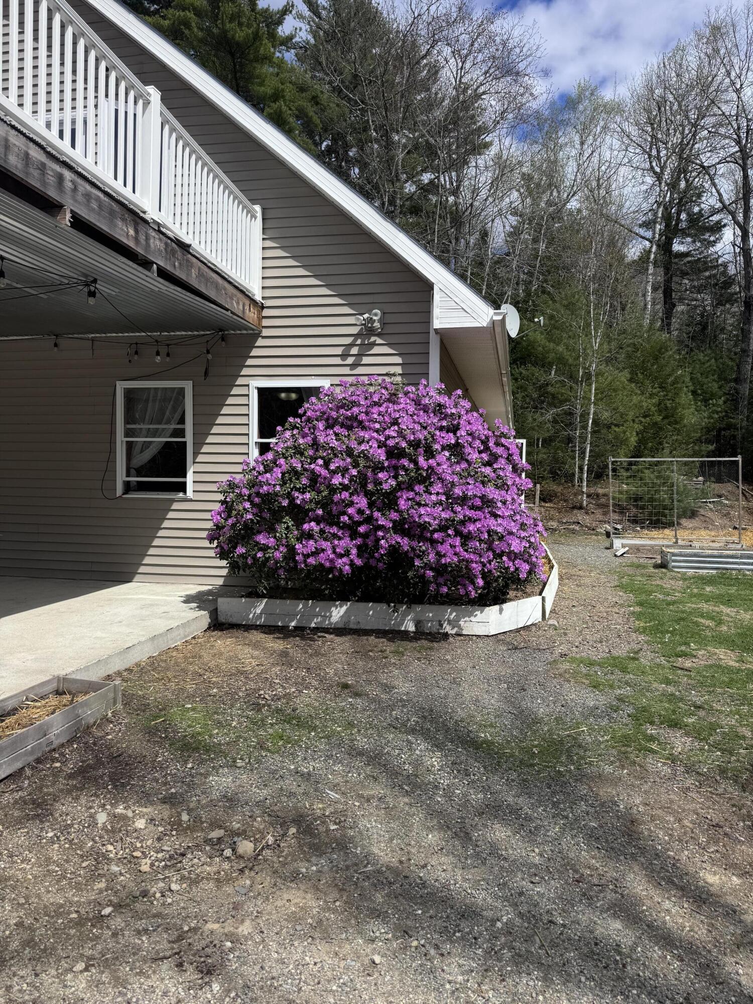 18 Deer Ridge Lane Surry, ME 04684 - Photo 49 of 50 IMG_2259
