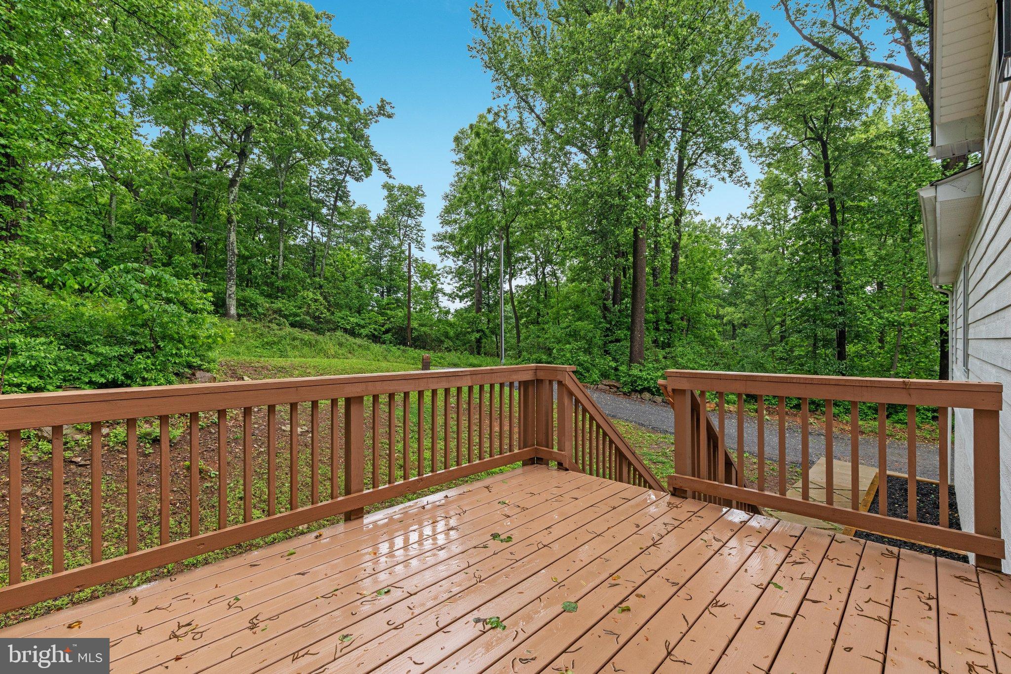 2668 High Top Road Linden, VA 22642 - Photo 41 of 73 2E6A7653_2668 High Top Rd - Absolute Altitude - 5