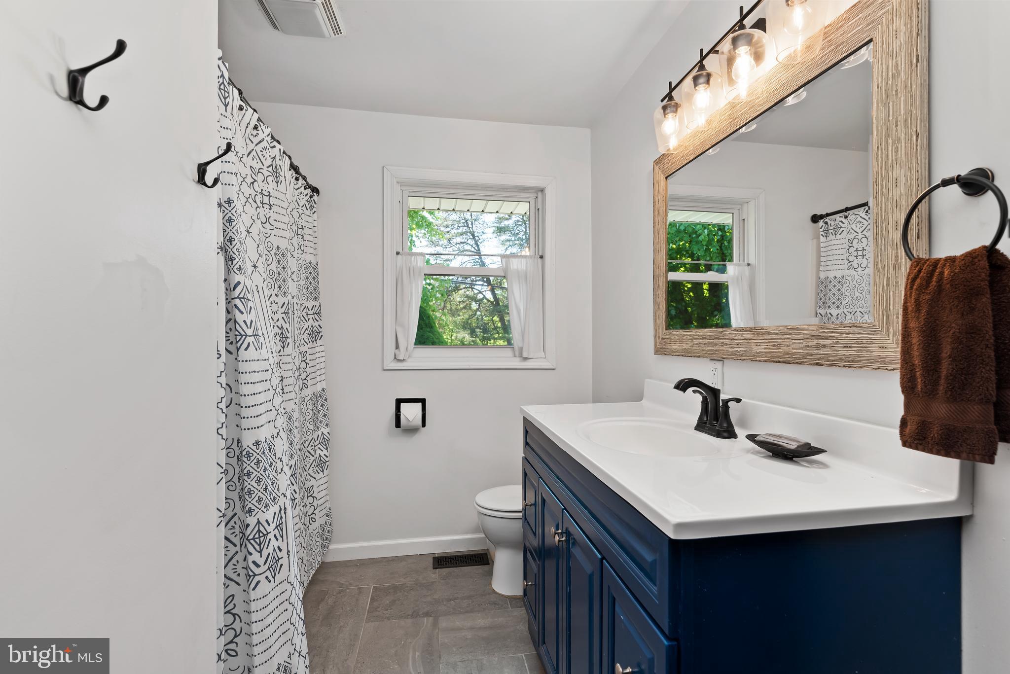 481 Cranes Gap Road Carlisle, PA 17013 - Photo 17 of 41 Updated Full Bath