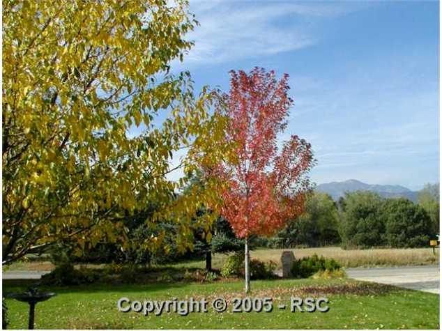 37 Marland Road Colorado Springs, CO 80906 - Photo 3 of 12 Gallery Image 3