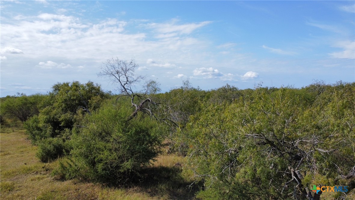 7 County Road 1144, Unit 7 Sinton, TX 78387 - Photo 11 of 12 a view of a bunch of trees